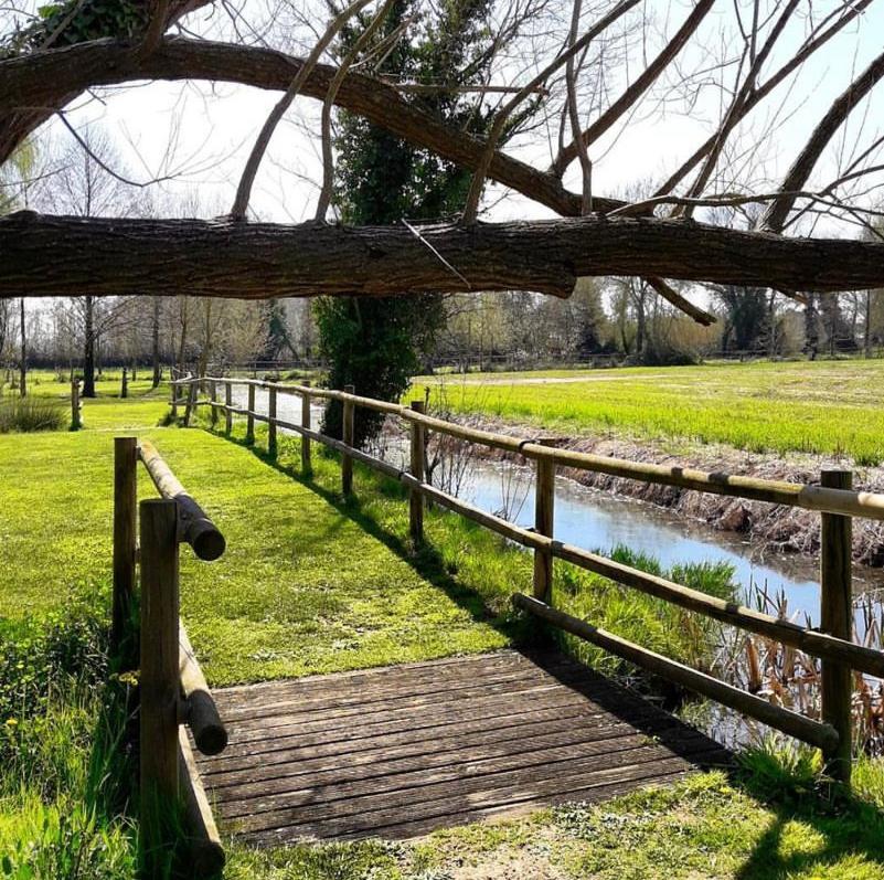 Holiday home Pirrot Salitja